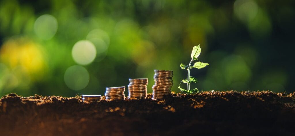 Lumpsum Calculator - Money growth and investment concept with plant